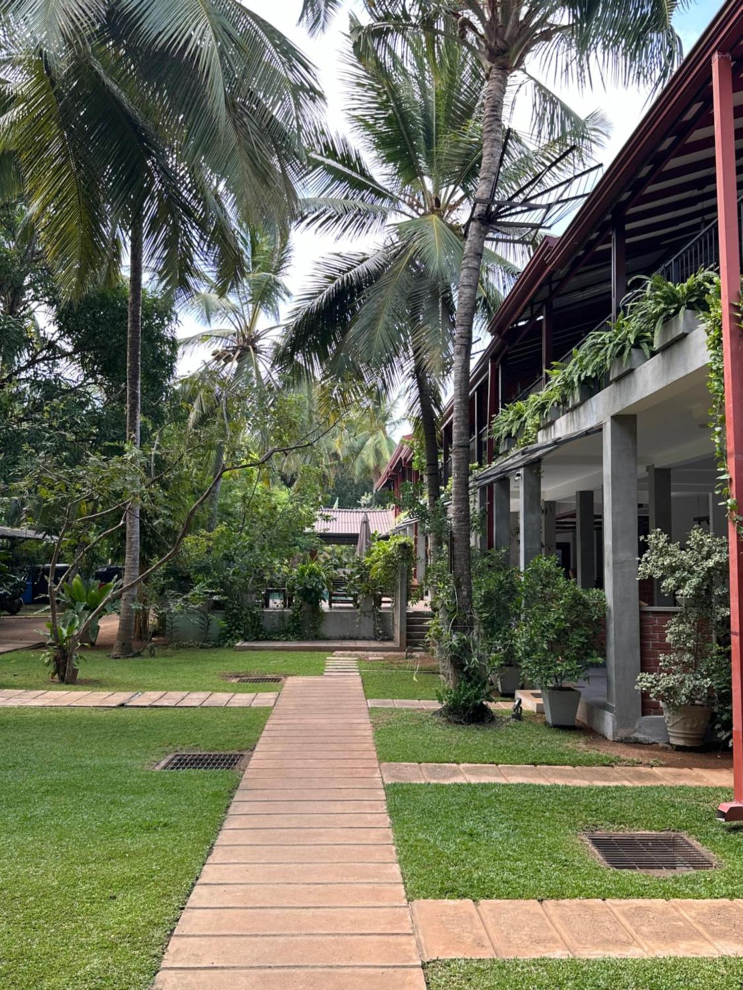 Hotel Heladiv Anuradhapura Eksteriør billede